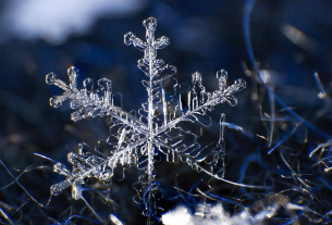 雪の結晶