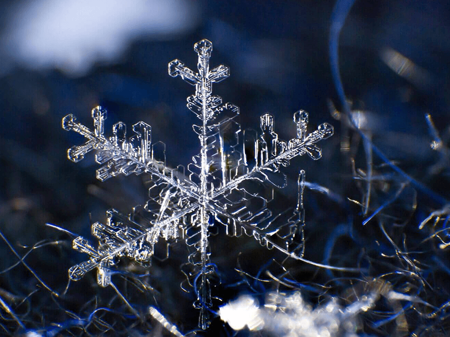 雪の結晶